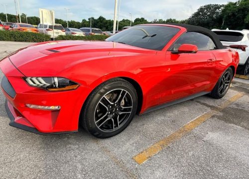 RICO RENT CAR PUNTA CANA, RENT CAR